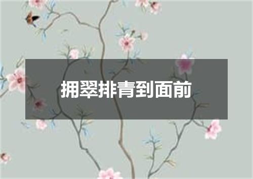 拥翠排青到面前