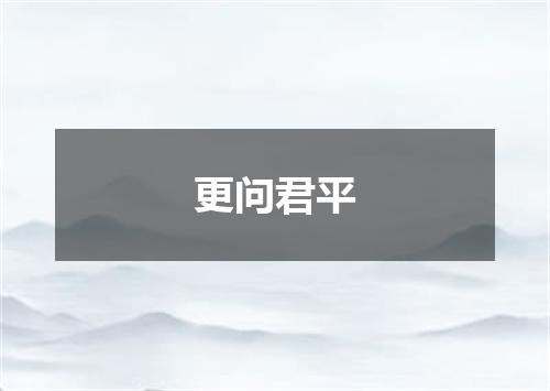 更问君平