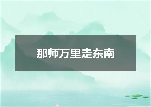 那师万里走东南