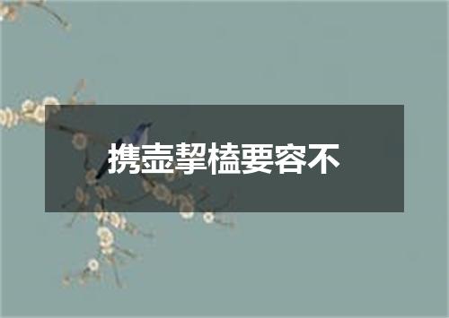 携壶挈榼要容不