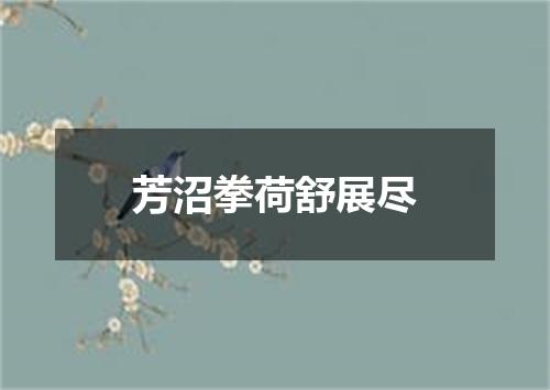 芳沼拳荷舒展尽