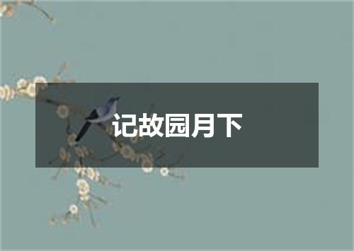 记故园月下