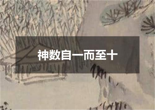 神数自一而至十