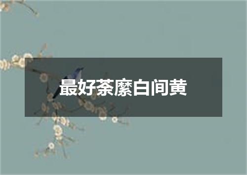 最好荼縻白间黄