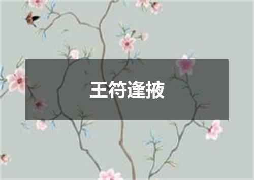 王符逢掖