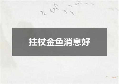 拄杖金鱼消息好