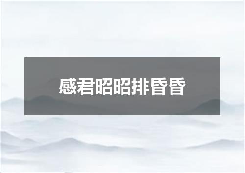 感君昭昭排昏昏