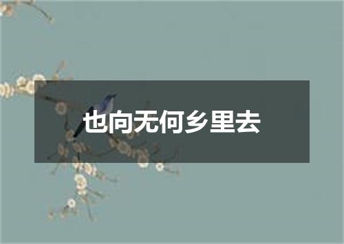 也向无何乡里去
