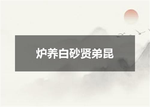 炉养白砂贤弟昆