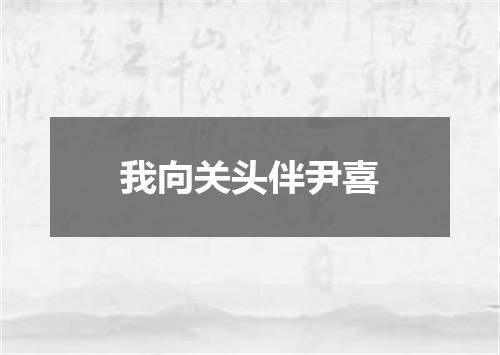 我向关头伴尹喜