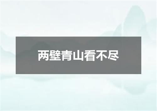 两壁青山看不尽