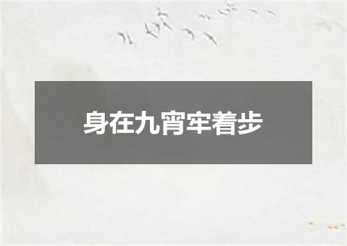 身在九宵牢着步
