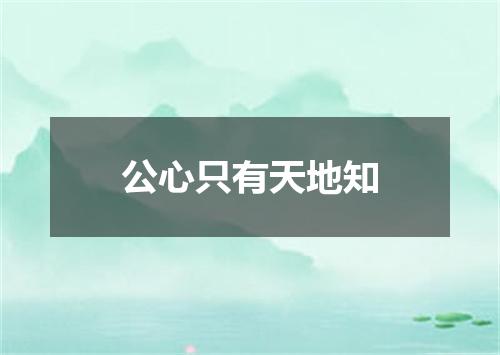 公心只有天地知
