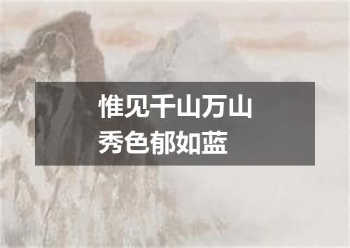 惟见千山万山秀色郁如蓝