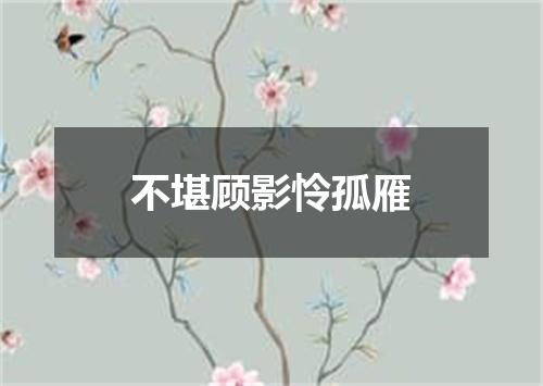 不堪顾影怜孤雁