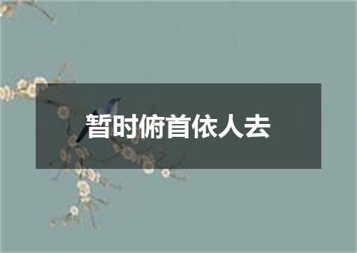 暂时俯首依人去