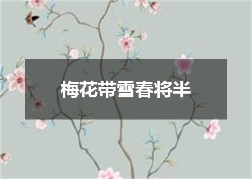 梅花带雪春将半
