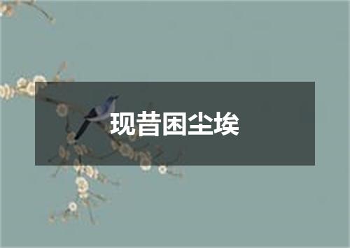 现昔困尘埃