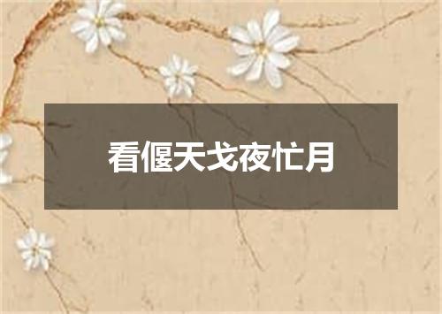 看偃天戈夜忙月