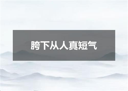 胯下从人真短气