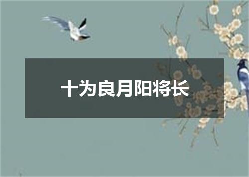 十为良月阳将长