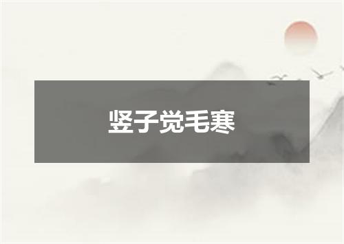 竖子觉毛寒