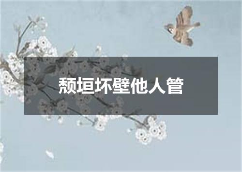 颓垣坏壁他人管