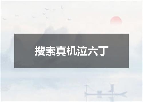 搜索真机泣六丁
