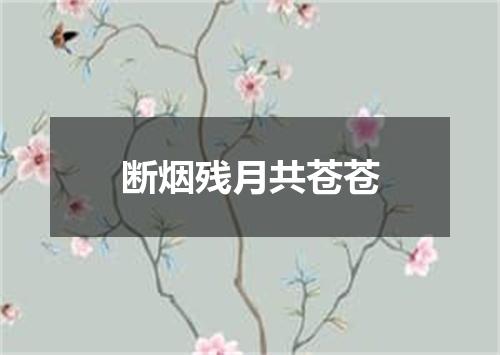 断烟残月共苍苍