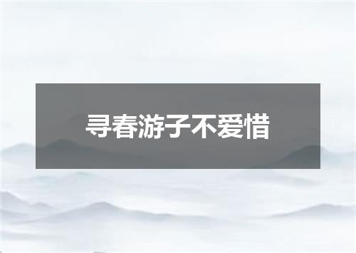 寻春游子不爱惜