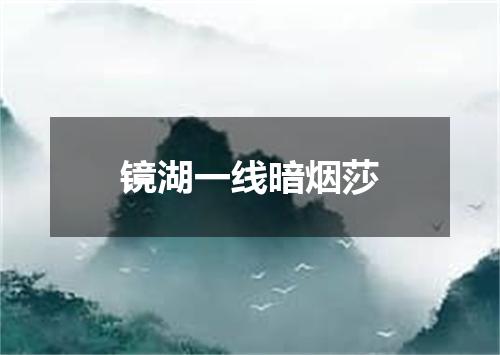 镜湖一线暗烟莎