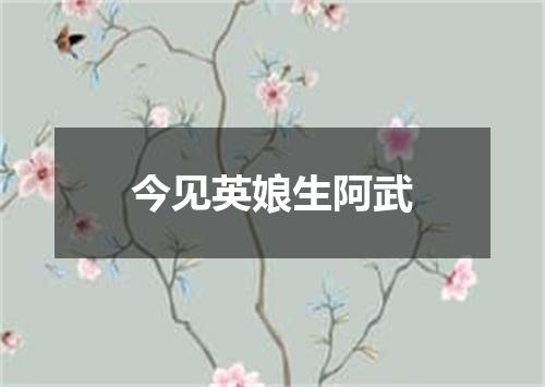 今见英娘生阿武