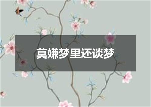 莫嫌梦里还谈梦