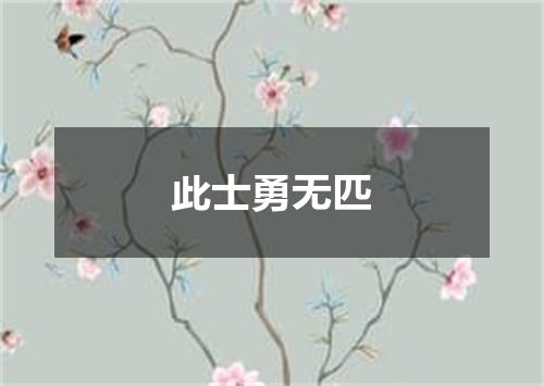 此士勇无匹