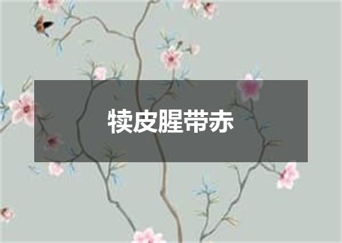 犊皮腥带赤