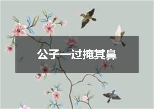 公子一过掩其鼻