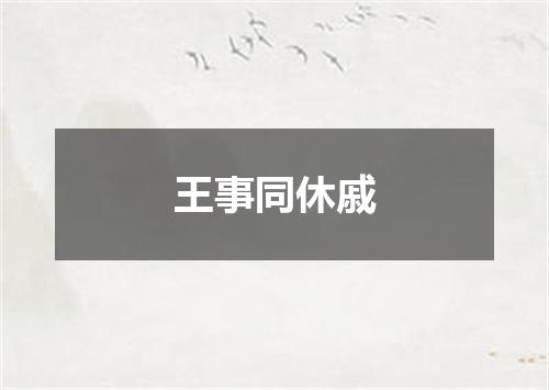 王事同休戚