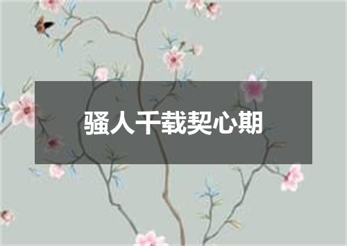 骚人千载契心期