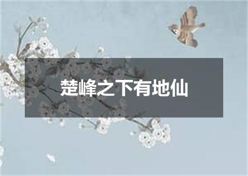 楚峰之下有地仙