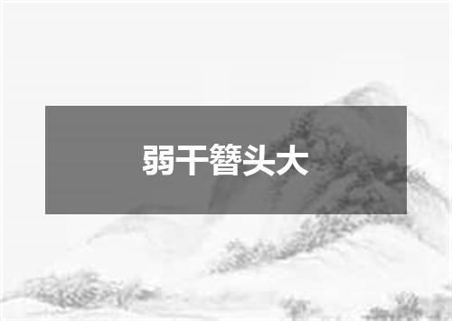 弱干簪头大