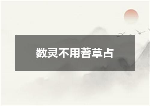 数灵不用蓍草占