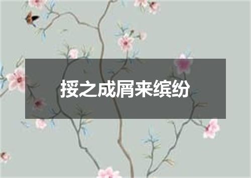 挼之成屑来缤纷