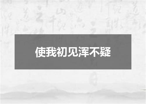 使我初见浑不疑