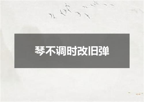 琴不调时改旧弹
