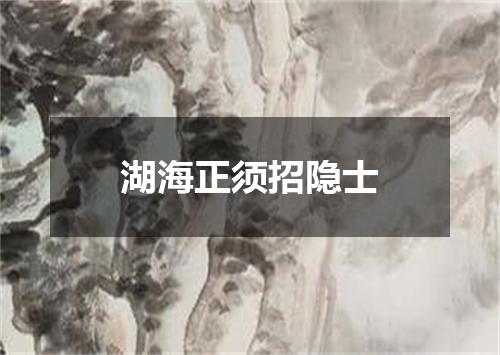 湖海正须招隐士