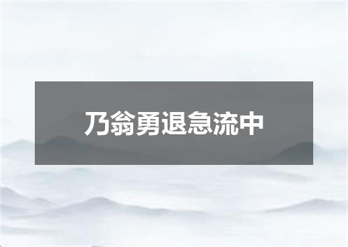 乃翁勇退急流中