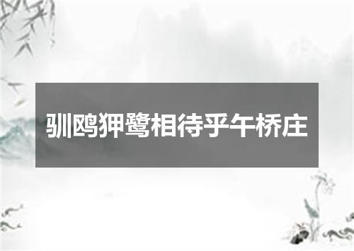 驯鸥狎鹭相待乎午桥庄
