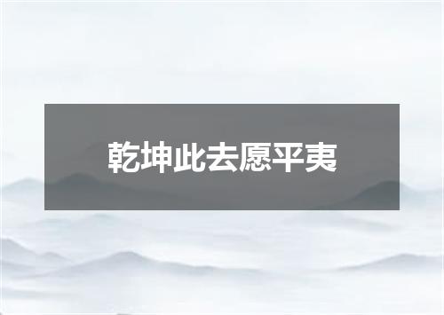 乾坤此去愿平夷