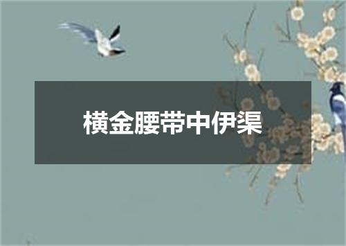 横金腰带中伊渠