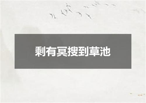 剩有冥搜到草池